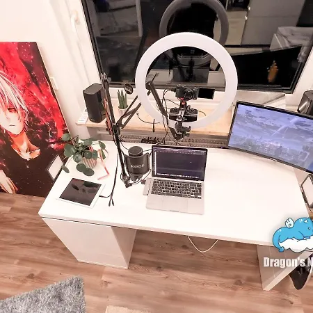Dragon's Nest: Cozy & Modern Attic Loft Nuremberg Apartment Schwaig bei Nurnberg